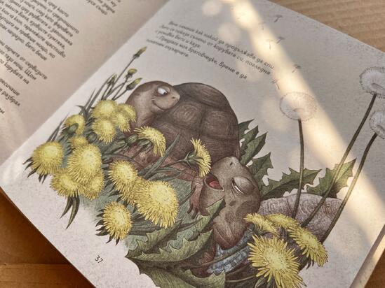 Бети и лети - детска книжка